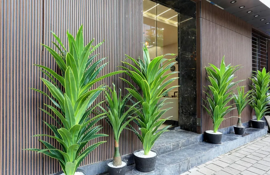 Hotel Ozone Inn Colaba-1