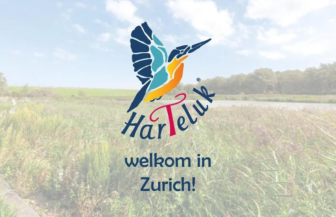 HarTeluk Afsluitdijk Zurich-1