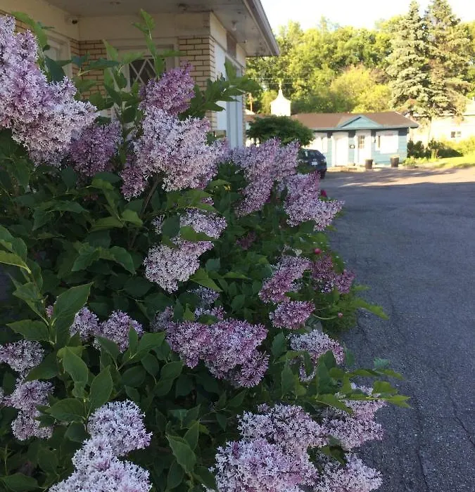 Motel Le Jardin-1