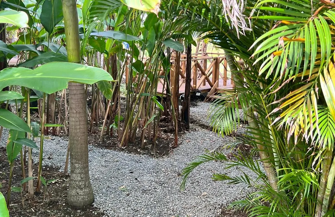 Jamaica Colors Hotel And Eco-Retreat-1