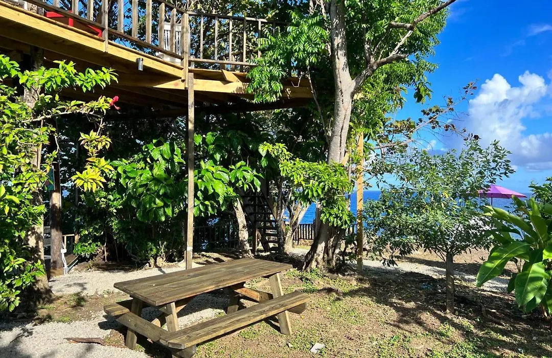 Jamaica Colors Hotel And Eco-Retreat-1