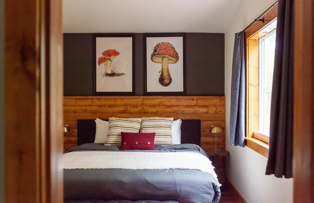 Backwoods Cabins-1