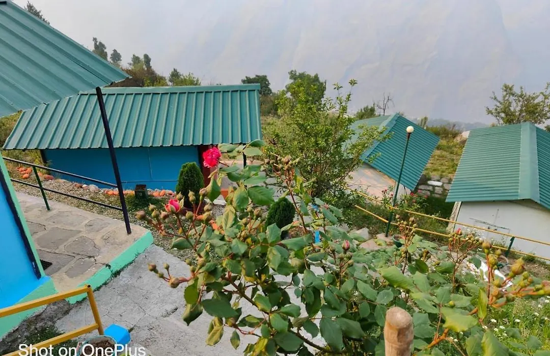 Auli Eco Nature Resort-1