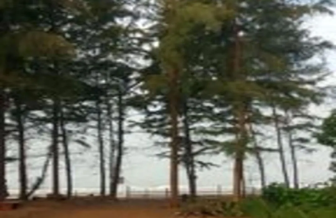 Suma Beach Resort-1
