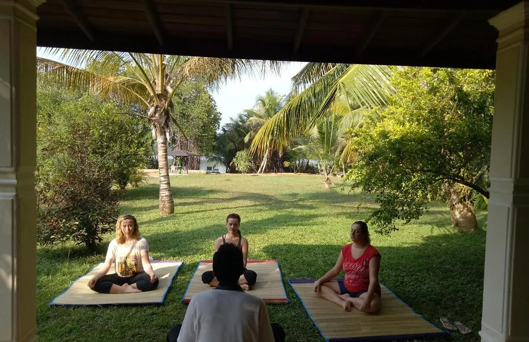 Mangrove Villa - Yoga & Ayurveda-1