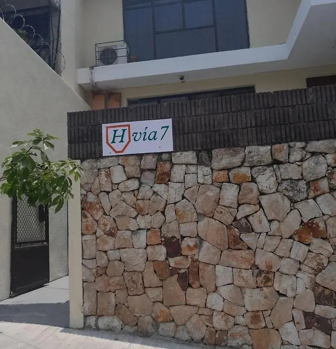 Hospedaje Via 7-1