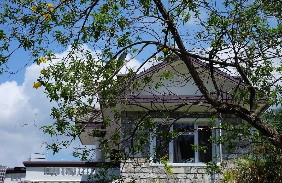 Sambodhi Yoga Home-1