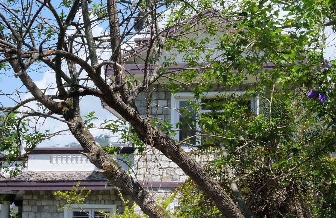 Sambodhi Yoga Home-1