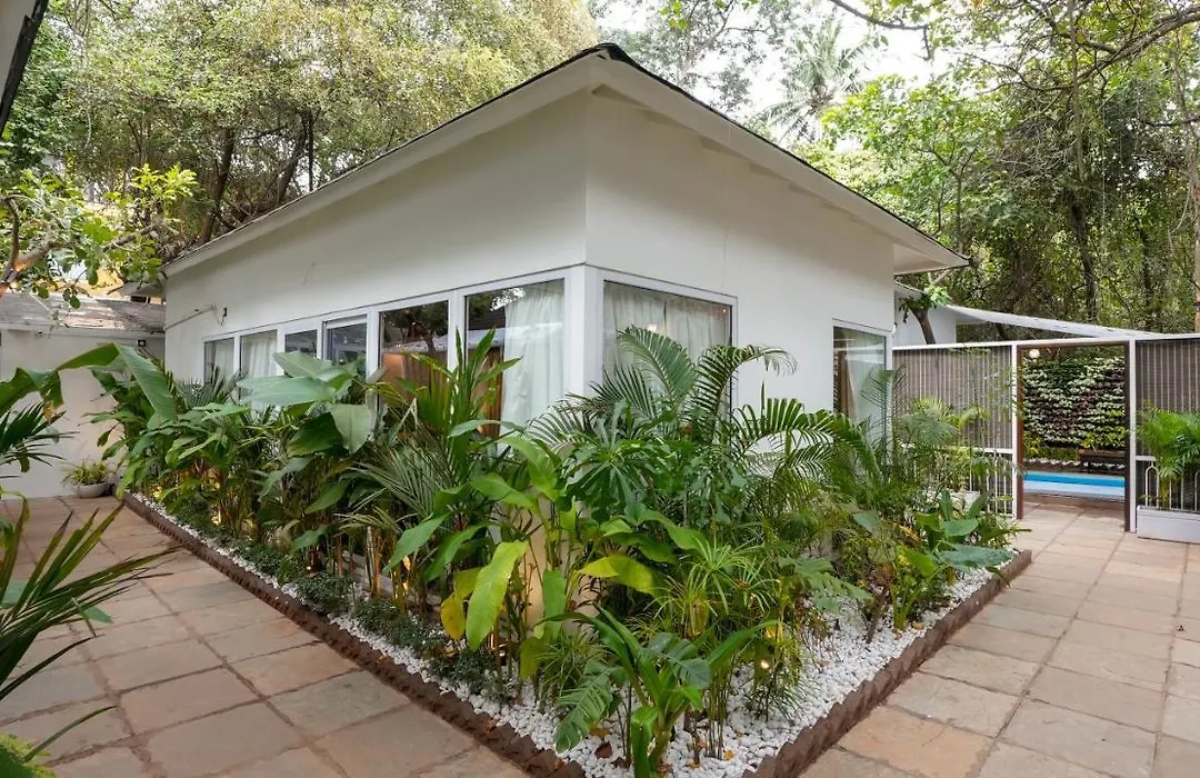 Swimup - Suites With Private Pool , Vagator-1