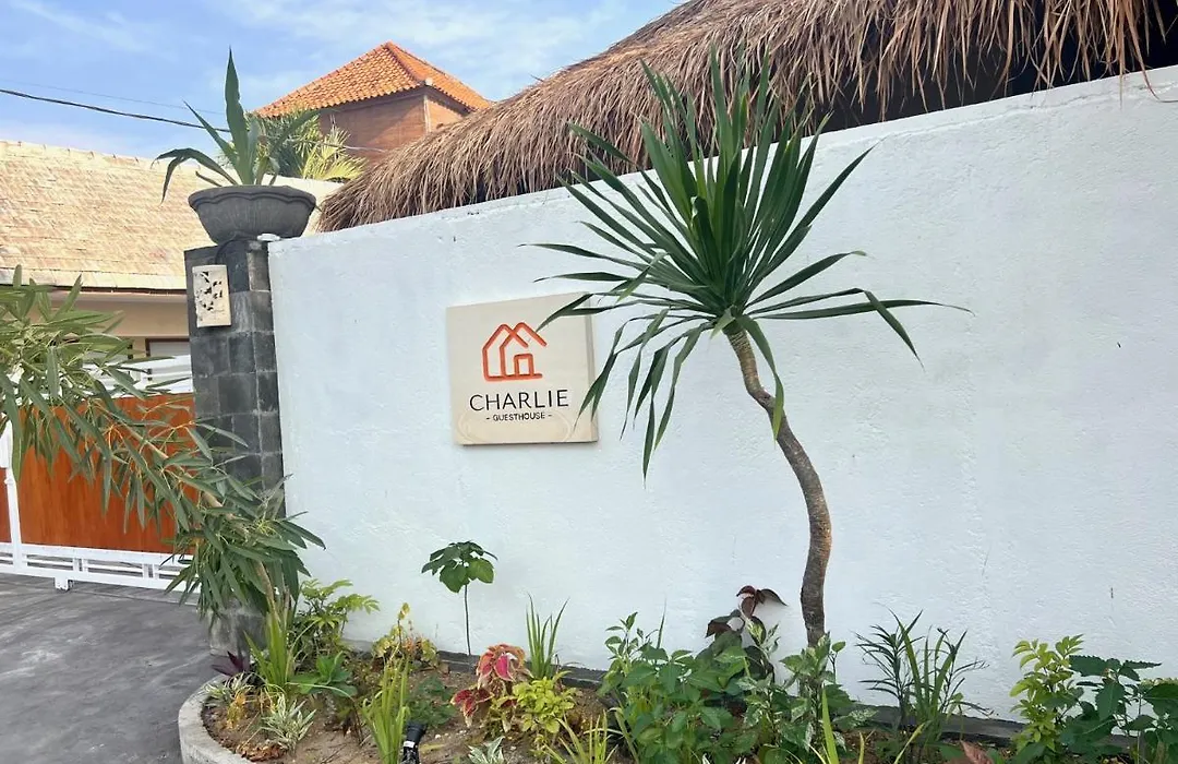 Charlie Guest House-1