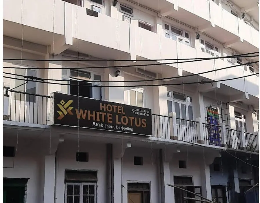 Hotel White Lotus-1