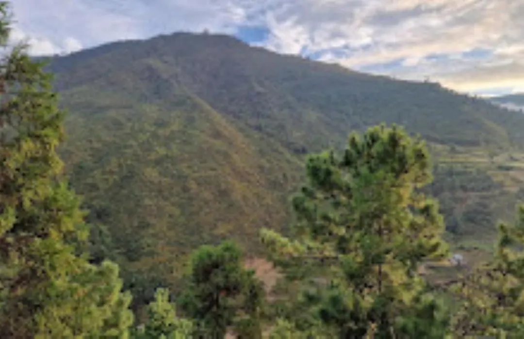 Awoo Resort Dirang-1