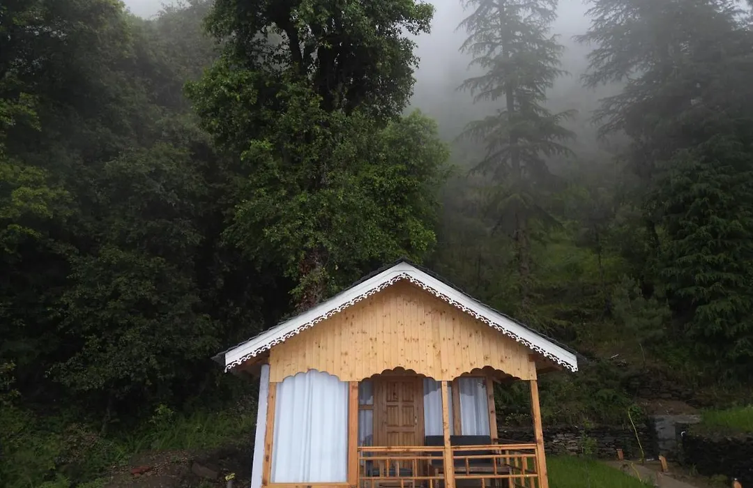 Tree House Latos Tandi-1