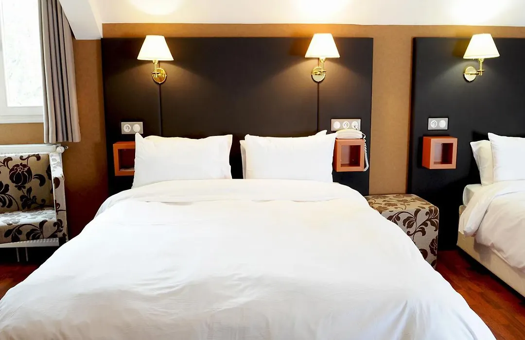 Logis Hotel La Breche De Roland-1