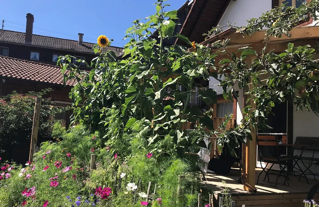 Pension Baarblick-1