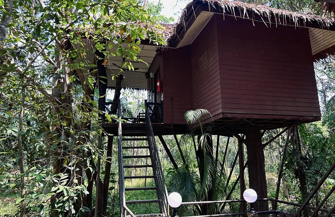 Khao Sok Paradise Resort-1
