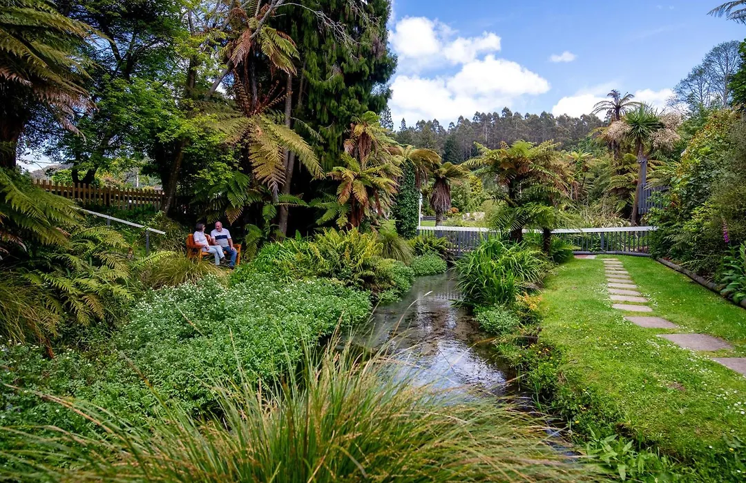 Ripple Rotorua-1