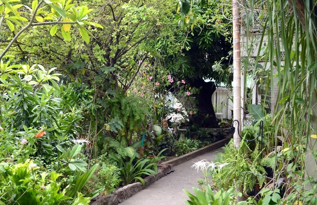 The Liguanea Club-1