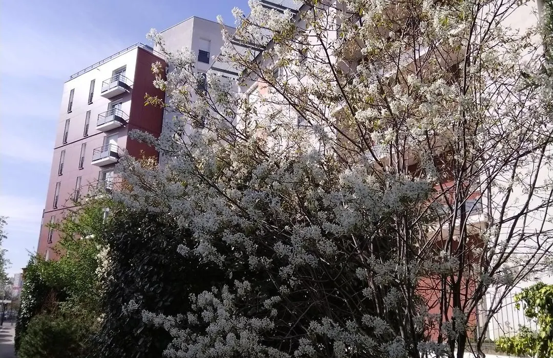 Apparthotel Privilodges Lyon Lumière-1