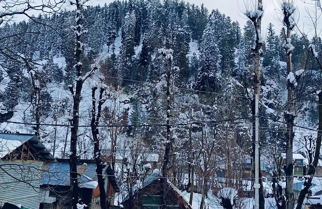 Mir Guest House-1