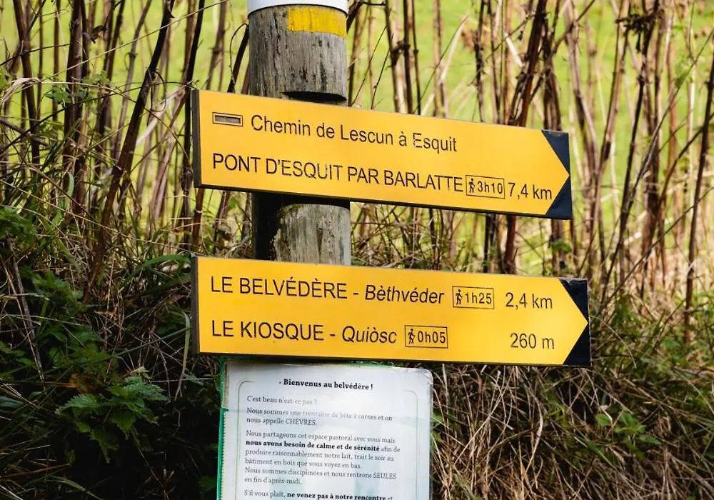 Le Mandragot-1