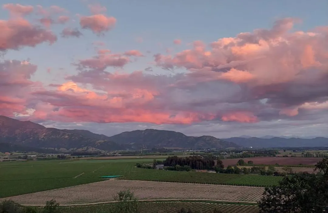 Colchagua D'Vino-1