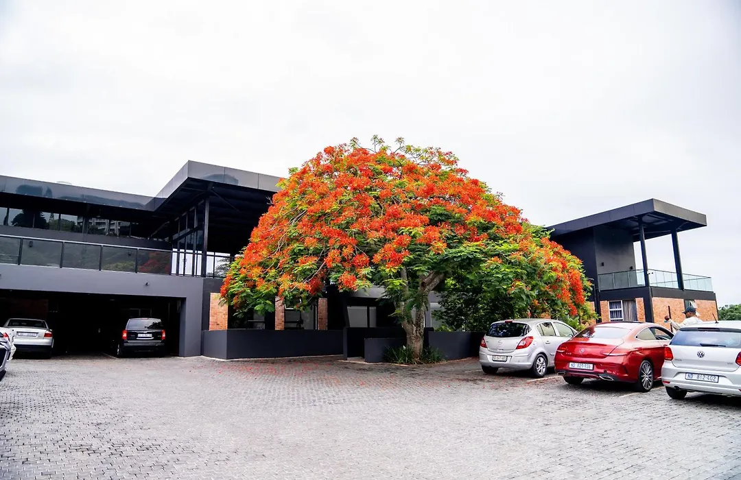 Zar Hotel-1