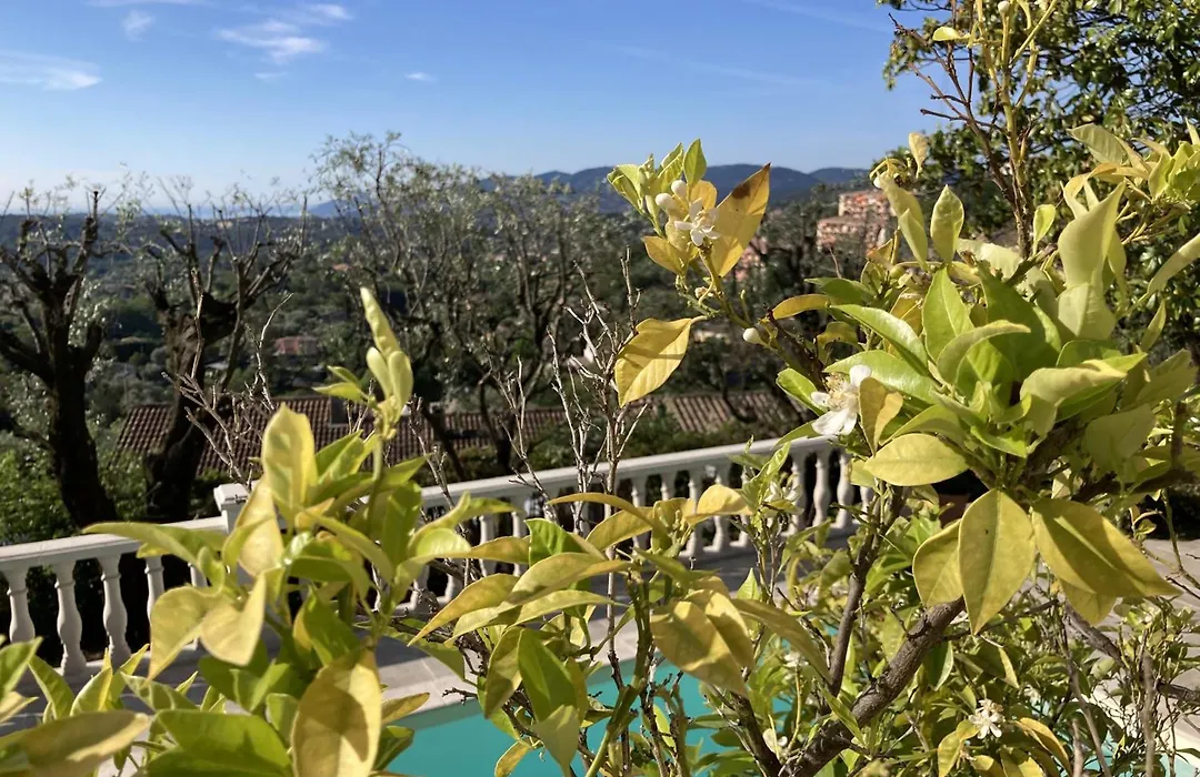 les petites terrasses-1