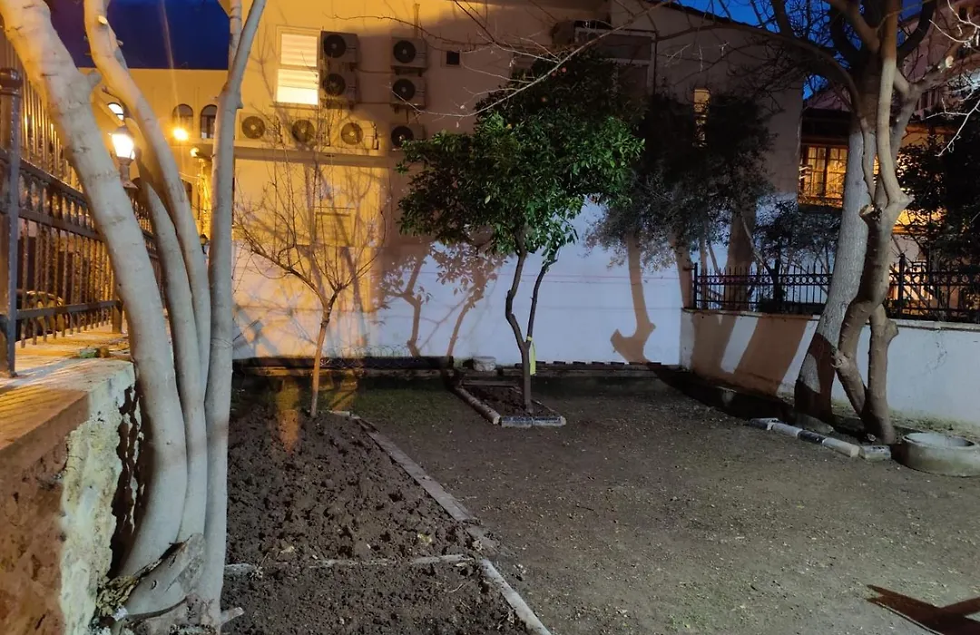 Antique House-1
