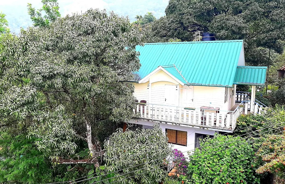 Summer Dew-1