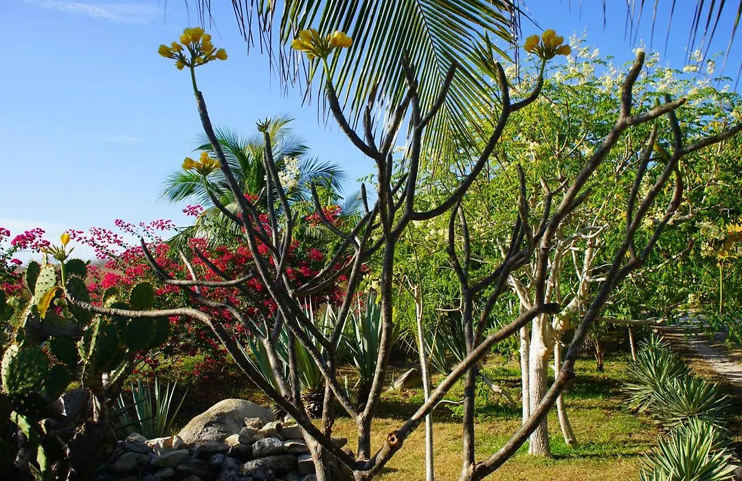 Ocean Oasis Hotel - Adult Only, Four Casitas Boutique Resort-1