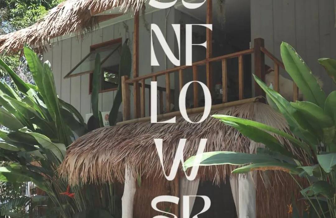 Sunflower Guesthouse And Animal Rescue - Koh Lipe-1