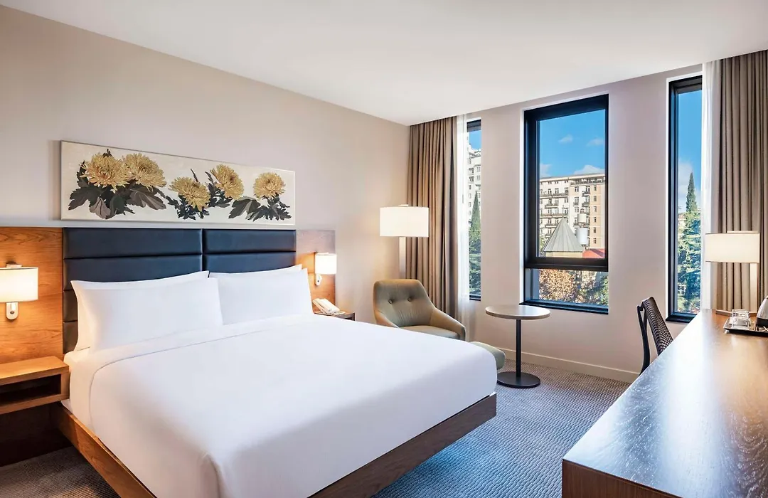 Hilton Garden Inn Tbilisi Chavchavadze-1