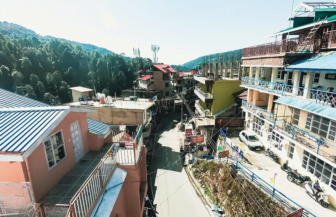 Hotel Viva La Vida-1