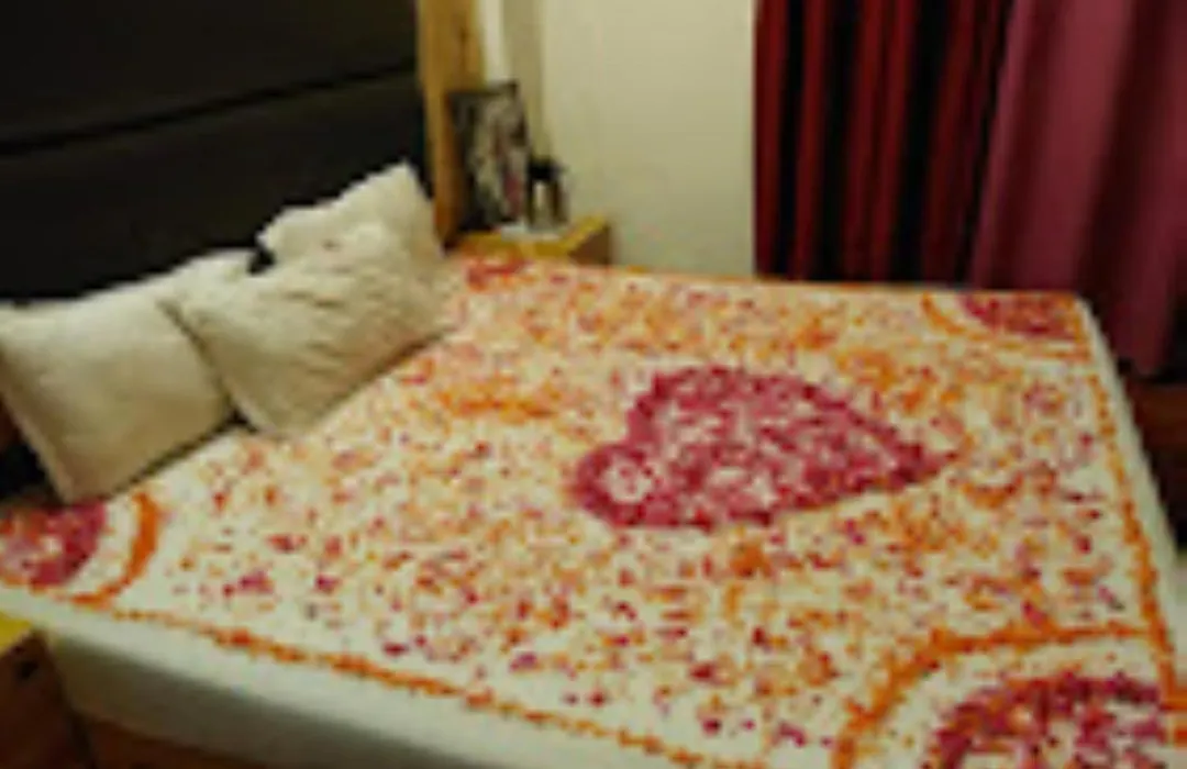 Hotel Rockland Inn , Manali-1