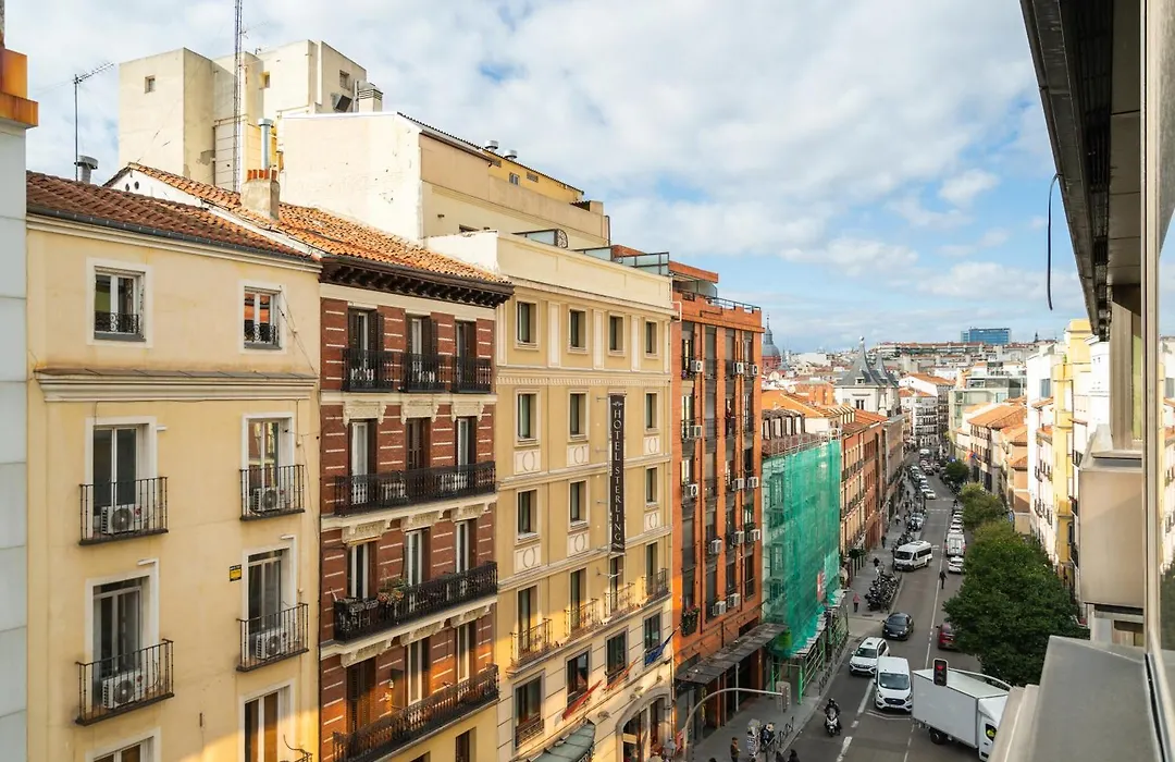 Dobo Madrid Sb203-1