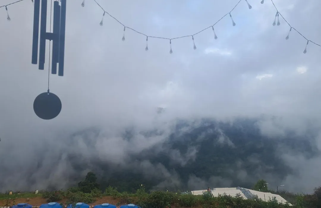 Kookal Bliss-1