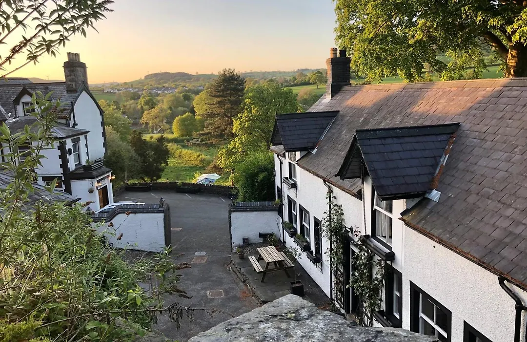 Bron-Y-Graig-1