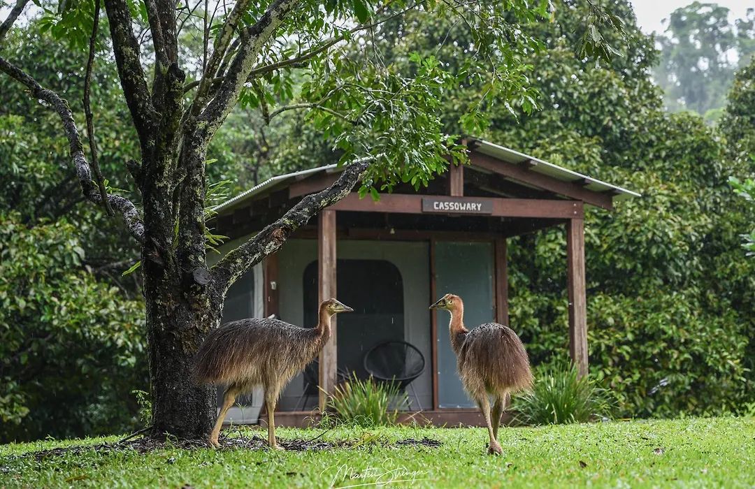Noah Creek Eco Huts-1
