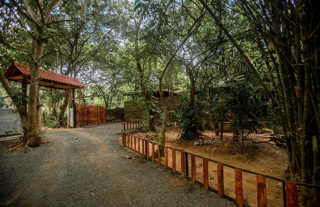 Inn On The Tree Eco Resort Sigiriya-1