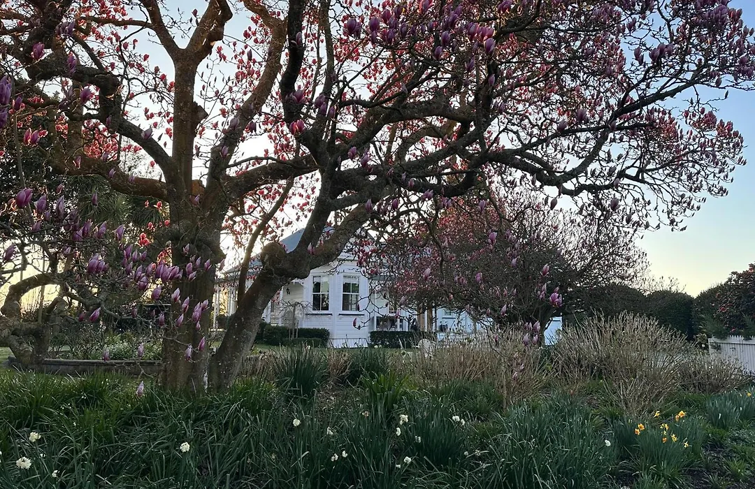 Villa Walton-1
