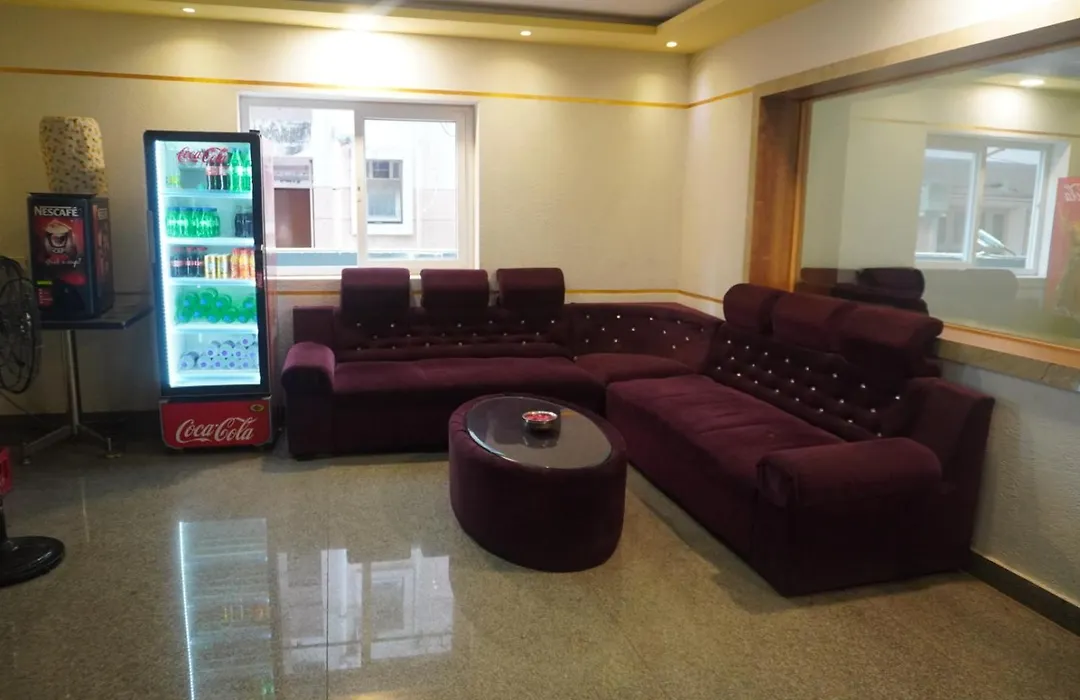 The Dolphin Park Hotel, Virugambakkam-1