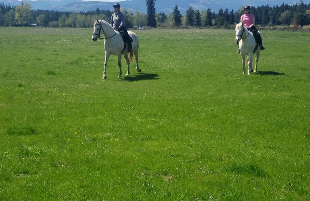 Paradise Acres Ranch-1