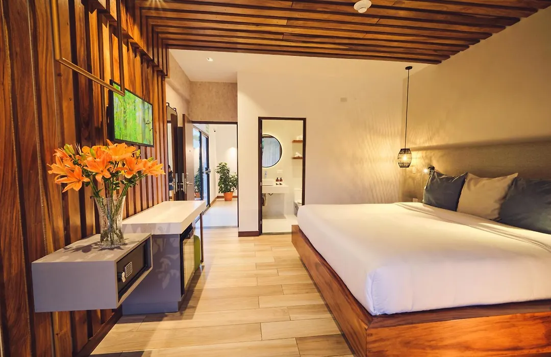 Ocotea Boutique Hotel-1