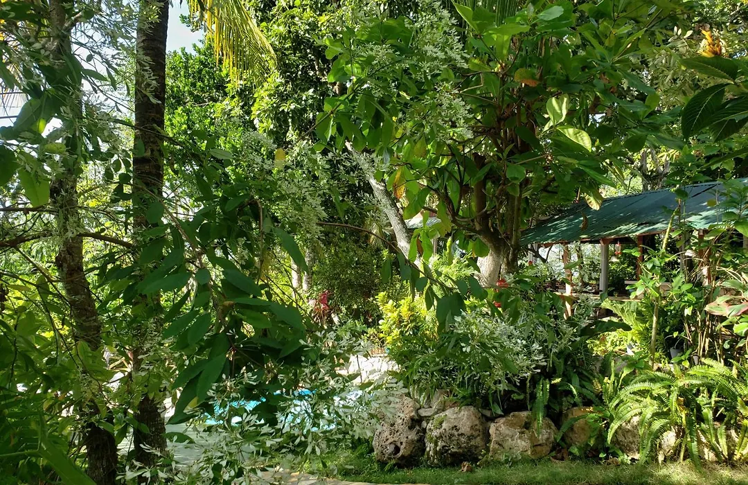 Zapote Tree Inn-1