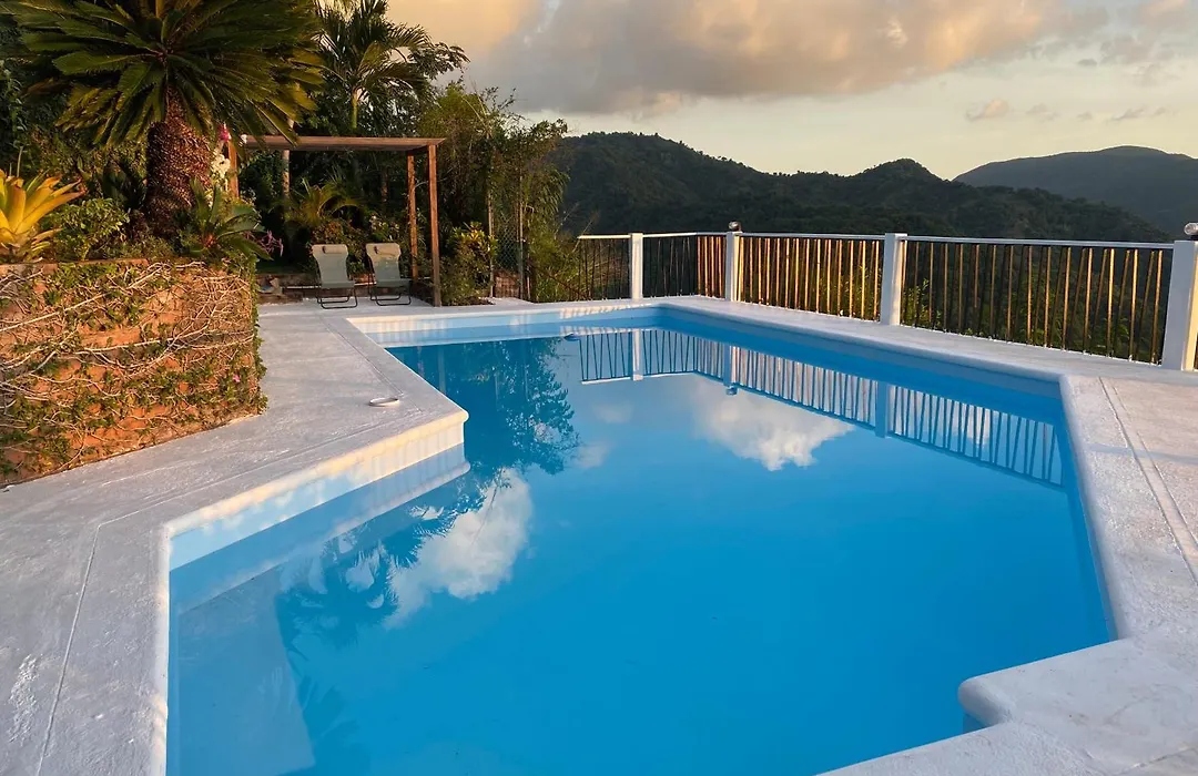 Tranquility Estate-1