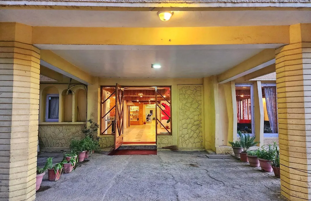 Hotel Pineview Shimla-1