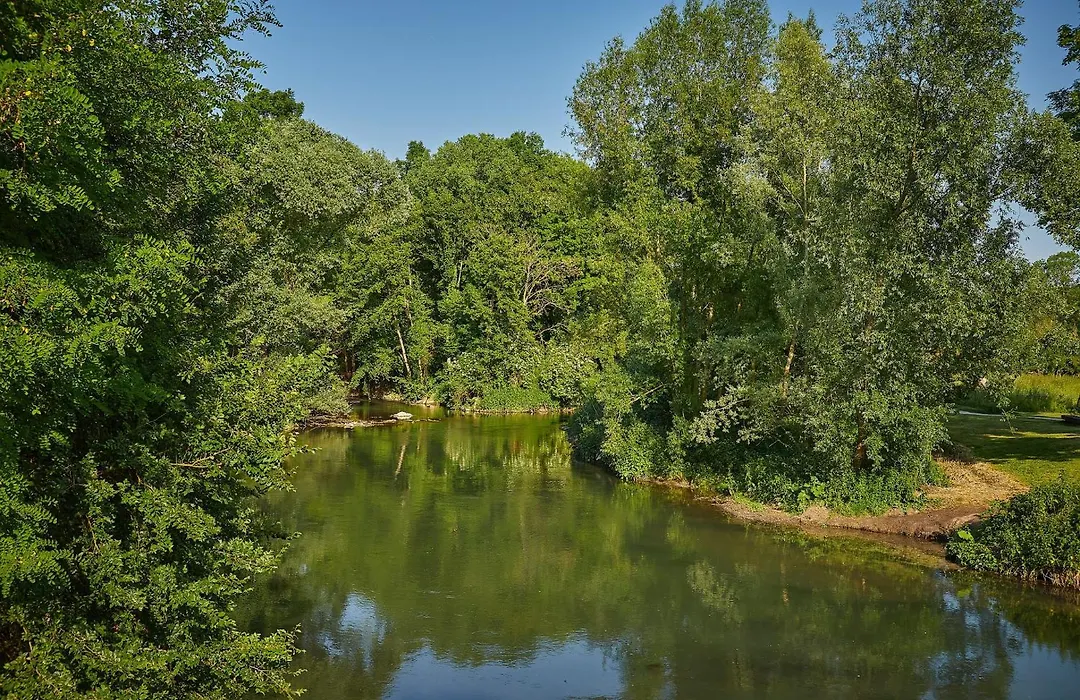 Camping Le Chene Gris - Roan-1