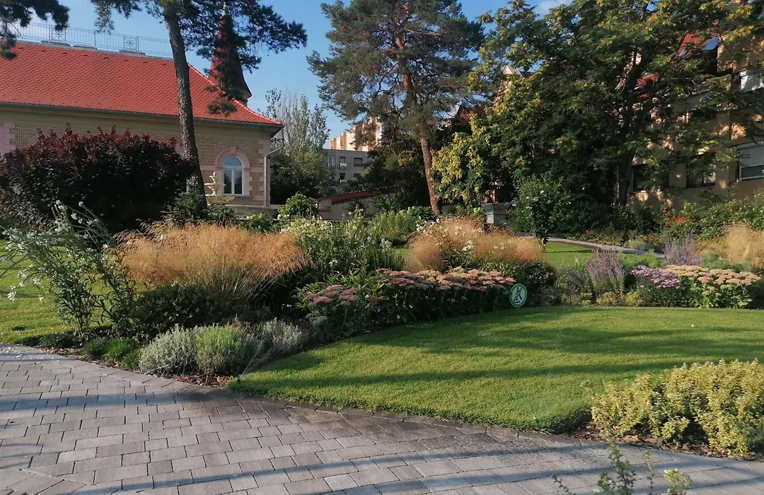 Toni Villa-1