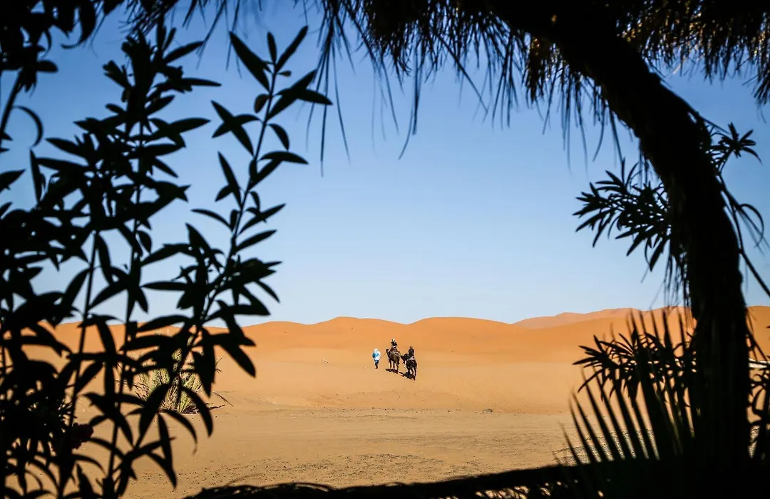 Dune House-1
